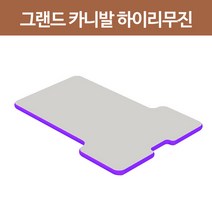 에어박스 그랜드카니발하이리무진 차량 매트 5cm, 단품
