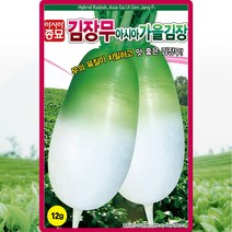 김장무 씨앗 김장무우 씨 종자 1000립