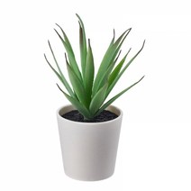 이케아 페이카 인조식물 화분 실내외겸용 다육식물 6cm 605.197.68, Artificial plants