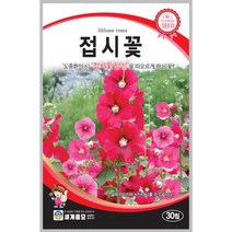 접시꽃 30립 꽃씨 다년생 씨앗 몰 봄 여름 가을 야생화 세계종묘 농사마트