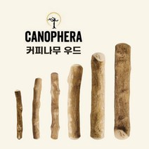 카노페헤라 강아지 커피 나무 츄 우드스틱 분리불안 이갈이 퍼피 소형견 대형견 천연 장난감 XXS XS S M L XL