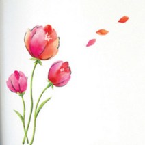 남자아이방벽지 레드플라워 RCT49, 상세페이지 참조