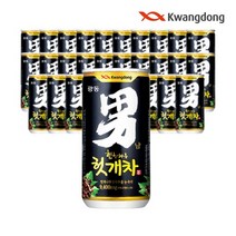 광동 힘찬하루 헛개차 180ml 미니캔 숙취음료 음료수, 180캔