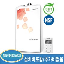 대성쎌틱 DNB 25S 41평이하 일반 가스보일러 (대전 및 인근지역 설치가능), DNB-25S-41평이하+경보기