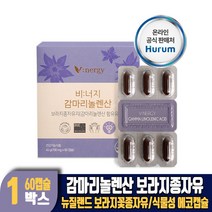감마리놀렌산 보라지유 보라지오일 보라지꽃 종자유 식물성 에코캡슐 건강기능식품, 1개, 60캡슐