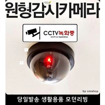 방범용카메라 방범 도어경보지 모형CCTV 창문 잠금장치 cctv작동중 보안용품, 방범도어경보기(소)