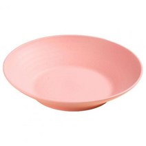 디저트 예쁜 카페접시 9 인치 라운드 샐러드 디너 플레이트 쌓을 수 없는 깨지지 않는 BPA 무료 모듬 접시 식당용 전자 레인지 안전 과일, 분홍색