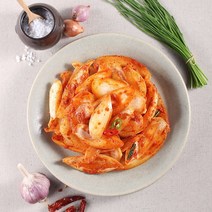 국산 100% 전라도 양파김치 양파김치추천 무안 양파김치 양파김치국산, 전라도 양파김치 1kg