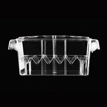 아마존피쉬 CIVEE 부화통 - 특대, 1개