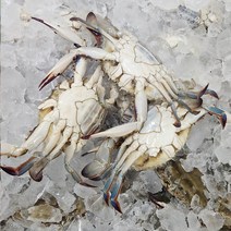 신선함이 생명인 싱싱 늦가을 꽃게 인천 연평도 암꽃게, 냉동암꽃게3kg(9미~15미), 1개