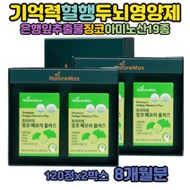 은행잎 추출물 GINKGO 집중력 수험생 뇌 영양제 효능 청소년 공부 징코빌로바 기억력 항산화 두뇌 케어 PTP포장 메티오닌 세포분열 비타민b2 L이소로이신 어르신 부모님 선물 공시생 대치동 기억력영양제
