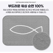laterior 먼지없는 매트