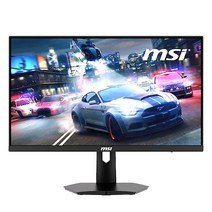 MSI MSI G244F IPS 게이밍 170 아이세이버 무결점