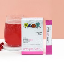 김소형 원방 성분배합 발효 콤부차 오미자 5g x 14개입, 단품