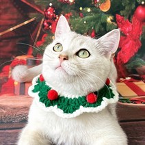 스펜서 반려동물 고양이 강아지 크리스마스 케이프, M, 스윗 그린