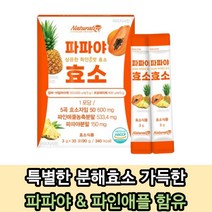 탄수화물 단백질 분해 효소 곡물 파파야 파인애플