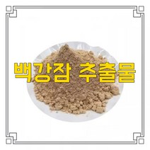 소율국제 백강잠 누에나방 고농축 추출물 분말, 20:1, 200g, 1개