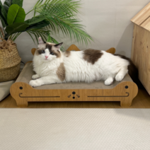 PETCA 우드 DIY 고양이 소파 스크래쳐 장난감 60cm, 1개