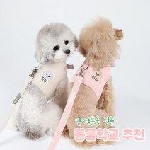 [리토가토] 러비 커스텀 캐릭터 강아지 하네스 5가지 색 (컴퓨터 자수) 동물학교 추천, 민트