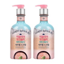 온더바디 히말라야 핑크솔트 내츄럴 스크럽 바디워시 400g, 400ml, 2개