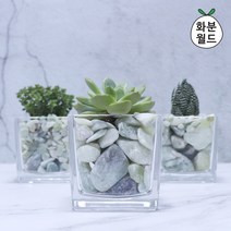 화분월드 옥자갈(소포장) 1kg, 옥자갈1호(1kg)