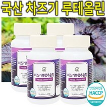 프리미엄 고농축 국내산 차즈기 차조기 차지기 차주기 차자기 붉은깻잎 보라색깻잎 루테올린 루테인 자소엽 자엽소 차 잎 캡슐 환 정 분말 가루 파우더 추출물 효능 효과 추천 4통