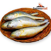 황금물고기 부세조기(반찬 제수용) 3.4kg, 대(14-16마리)