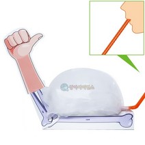 뼈와 근육 모형(1인용 포장)