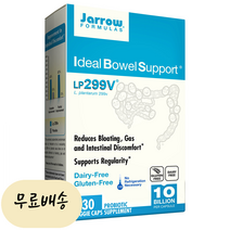 자로우 아이디얼 볼 서포트 LP299V 유산균 100억 30캡슐, 1개, 30정