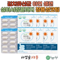 식약청인증 알약유산균 아연 셀렌 40대 50대 여성 남성 필수 영양제 위산에 녹지않는 장용성캡슐 장면역 60캡슐 6박스 특허받은 식물성 김치유산균 프로바이오틱스 장내세균 유익균