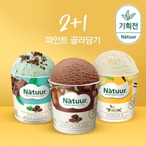 나뚜루 아이스크림 파인트 2+1 골라담기, 바닐라_피페리타 민트초코