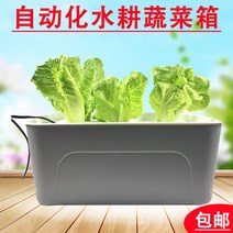 수경줄 재배 디바이스 씨래기 저절로 물갈이 딸기화분 가든픽, T03-타이밍을 산소증폭 물 배상자 대정 시기, C01-크다