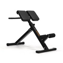 이고진 로만체어 백익스텐션 로망 코어 옆구리 복근 운동기구, 단일옵션