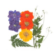[압화꽃팩]들꽃향기공방/체험재료/JPS25/코스모스누름꽃팩패키지, 5P