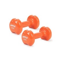 베스코 애플덤벨/미용아령 2kg 세트 미용아령 덤벨 홈트 근력운동 헬스기구 중랑봉 헬스장운동기구 홈트레