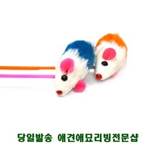 캣닢구슬토이 고양이용품샵 아기고양이키우기 스크레쳐, 1개