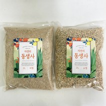 루아데코 동생사 분갈이흙 고급흙 배양토