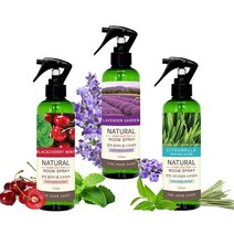 홈닥터 차량용탈취제 악취제거제 룸스프레이250ml 5종 _20229911EA, 쿠팡 피톤치드