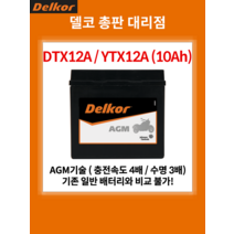 가와사키 Z1000R 델코 AGM 배터리 10Ah YT12A DT12A