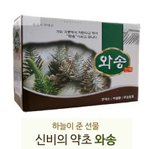 올해 수확한 생와송으로 만든 와송엑기스 100ml 60포