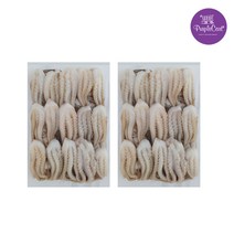 냉동손질 쭈꾸미 500gX2개, 2개, 500