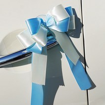 러브헌터 웨딩카 추가구매상품 손잡이, 13. 일자꽃 손잡이장식(블루)