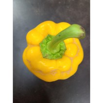 어글리베지 파지 파프리카 5kg (쨈용/건조용/쥬스용)