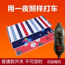 12V 전기장판 DC 캠핑 전기매트 차박 캠핑 카라반 2인용 시가잭, A + 170x75cm