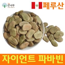 The큰나무 페루산 자이언트 파바빈 콩 원물 항공직수, 300g, 5개