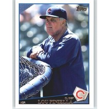 2009 topps Chicago cubs 완전한 팀 세트 - 19개의 카드(두 시리즈 1 amp의 모든 카드 포함 2 topps ) - harden soto derrek lee