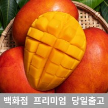 [특등급선별] 애플망고 4kg 제주애플망고 제주도애플망고 제주망고 애플망고선물세트 제주산애플망고 망고선물세트 애플망고선물 과일 과일종류 제철과일 겨울과일 망고쇼핑몰 과일선물 레드망