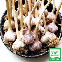 [천삼백케이] [해미읍성] 서산 무농약 마늘 통마늘 난지형 반접 50개(대), 단품