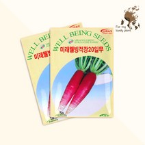 미래웰빙적장20일무 5g 미래종묘 뿌리채소류 씨