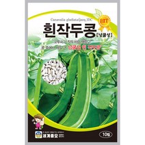 흰작두콩 씨앗 10립 영양분이 풍부한 넝쿨성 콩 세계종묘